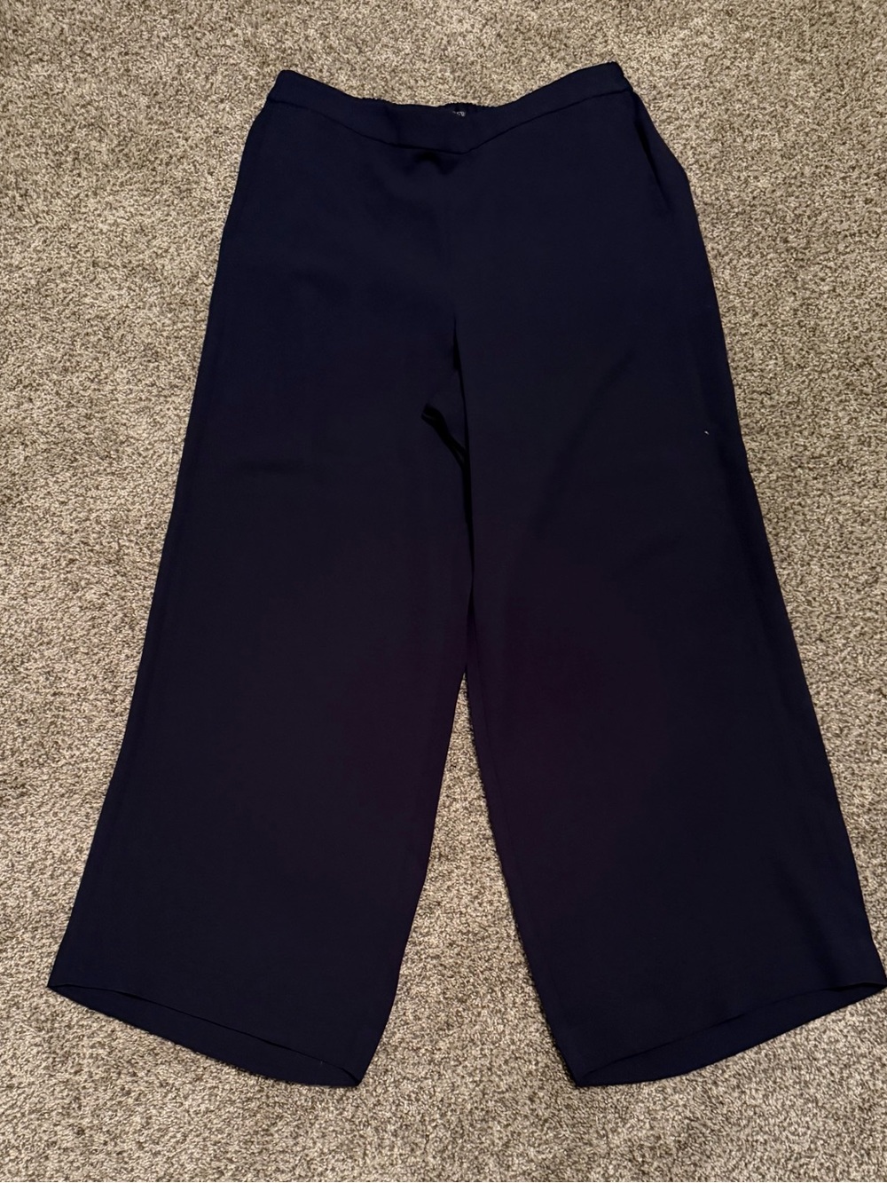 J. Crew Navy Wide-Leg Pull-On Pants